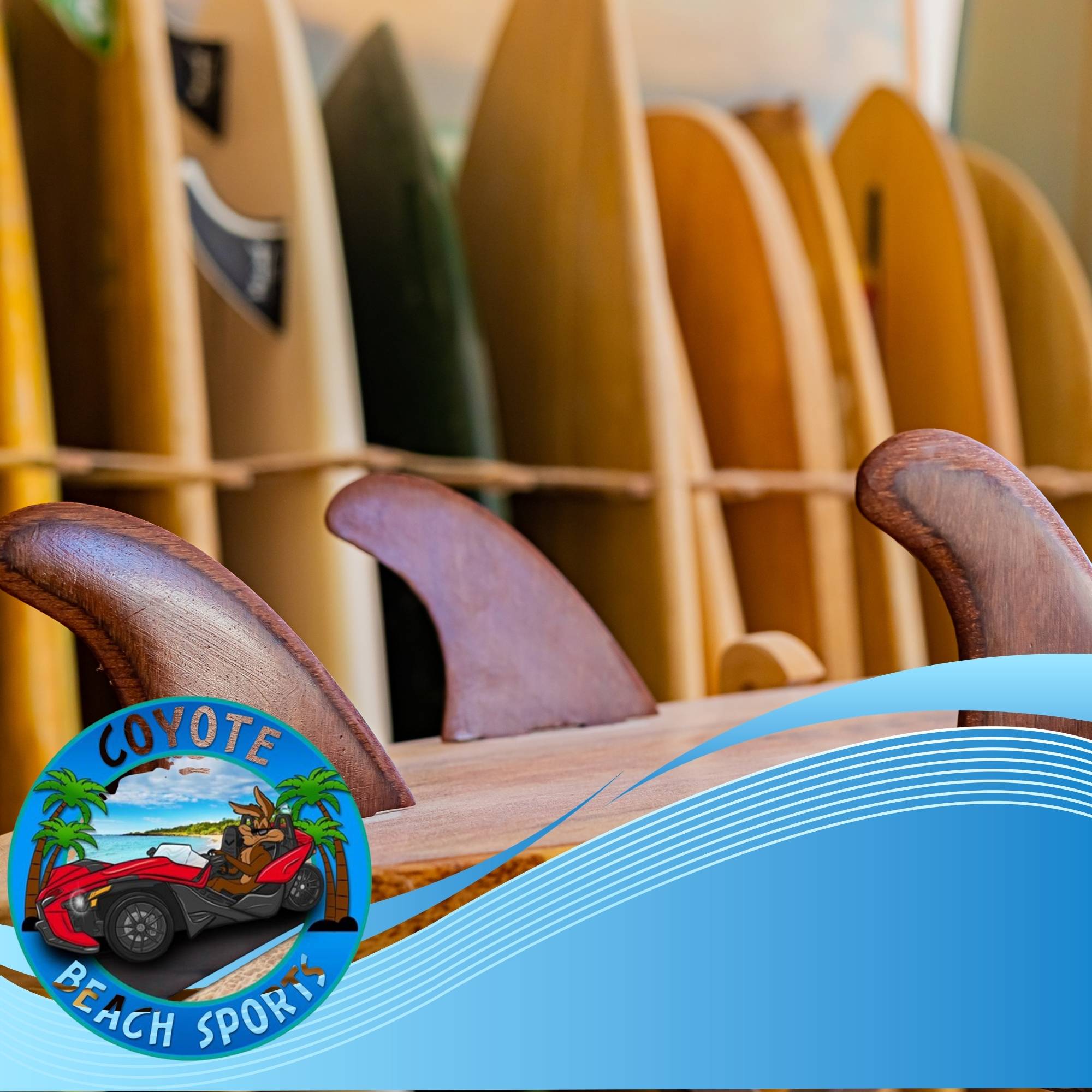 Paddleboards & Surfboards